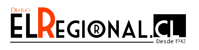 Diario Elregional